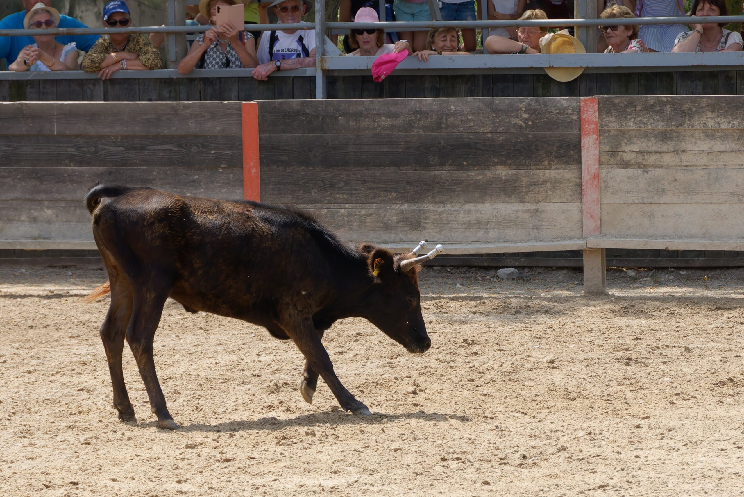 Fête d'été 20251017-02